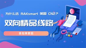为什么选 RAKsmart 美国 CN2？双向精品线路 丢包率更低