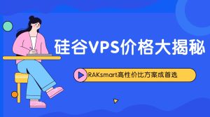 硅谷VPS价格大揭秘：RAKsmart高性价比方案成首选