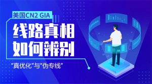美国CN2 GIA线路真相：如何辨别“真优化”与“伪专线”